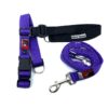 Balance Training Pack - Purple | Blackdog Wear