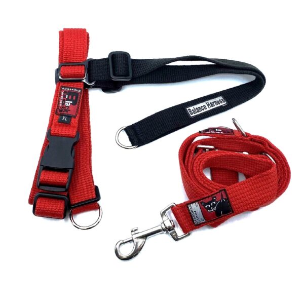 Balance Training Pack - Red | Blackdog Wear