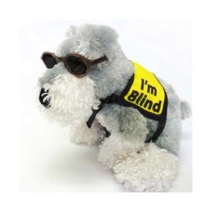 I'm Blind Vest | Blackdog Wear